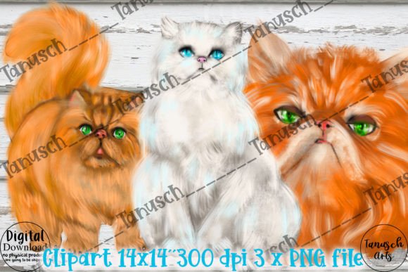 Download Watercolor PERSIAN Cat Clipart Png - Persian cat clipart Collection